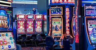 leon bet app leon bet app